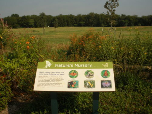 Seabourne Creek Nature's Nursery panel