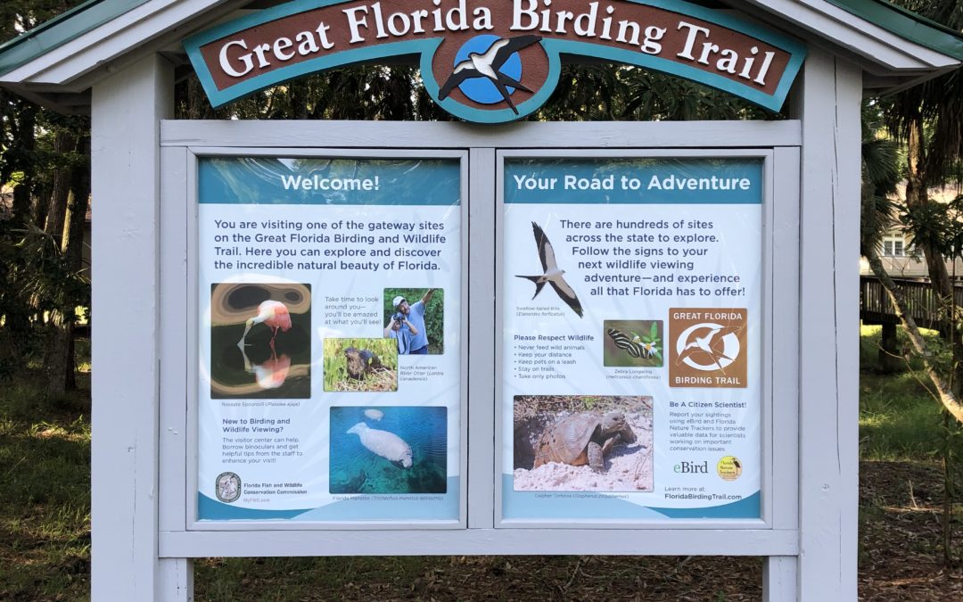 Capturing the Best of Florida’s Birding and Wildlife in Just 24 Square Feet